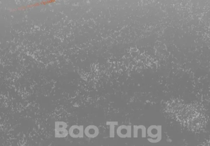 Tôi Sẽ Vực Dậy Gia Tộc Này Chap 50 - Next Chap 51