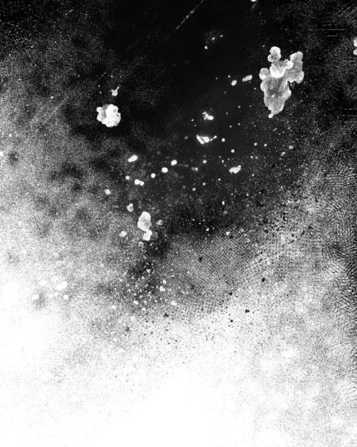 Tôi Sẽ Vực Dậy Gia Tộc Này Chap 66 - Next Chap 67