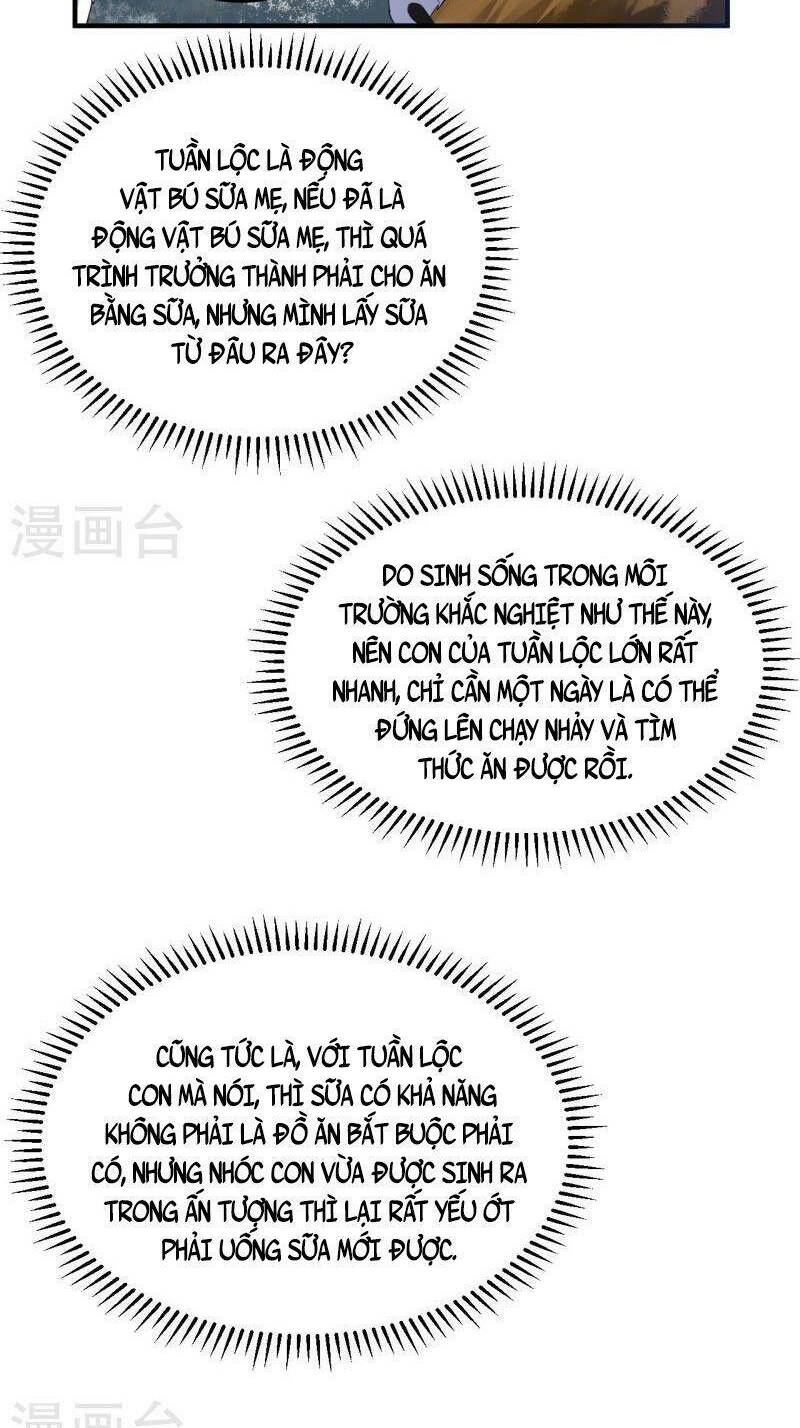 Tôi Sống Trên Hoang Đảo Cùng Các Em Gái Chap 230 - Next Chap 231