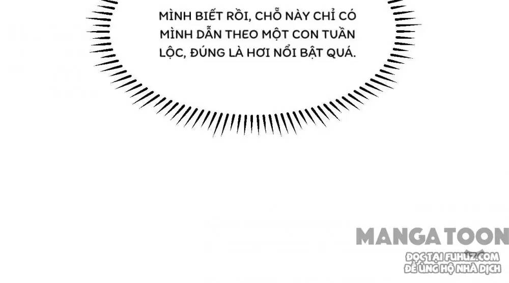 Tôi Sống Trên Hoang Đảo Cùng Các Em Gái Chap 254 - Next Chap 255