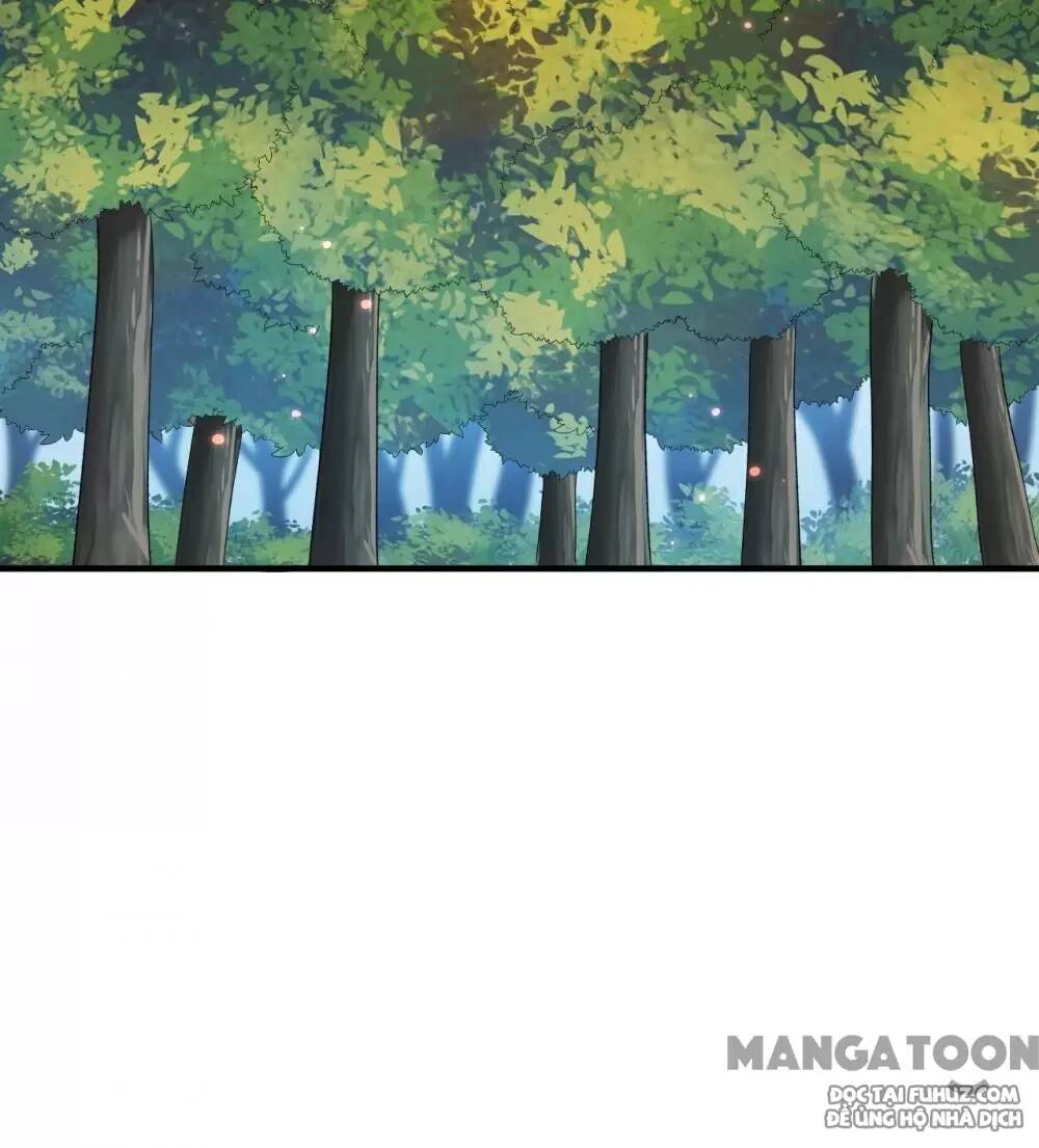 Tôi Sống Trên Hoang Đảo Cùng Các Em Gái Chap 277 - Next Chap 278