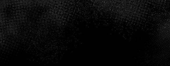 Tôi Thuần Hóa Chó Điên Của Chồng Cũ Chap 39.2 - Next Chap 40.2