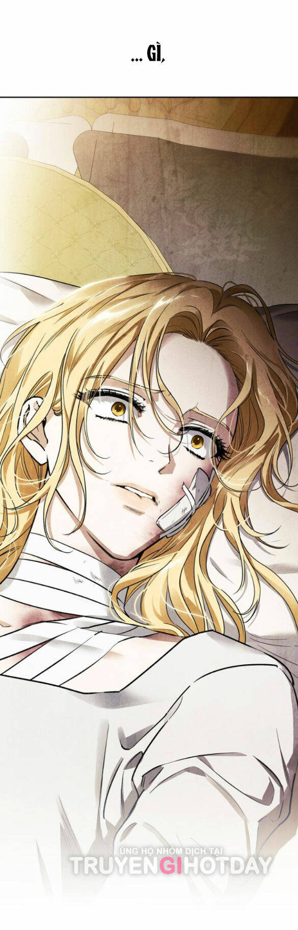 Tôi Thuần Hóa Chó Điên Của Chồng Cũ Chap 41.2 - Next Chap 42.2