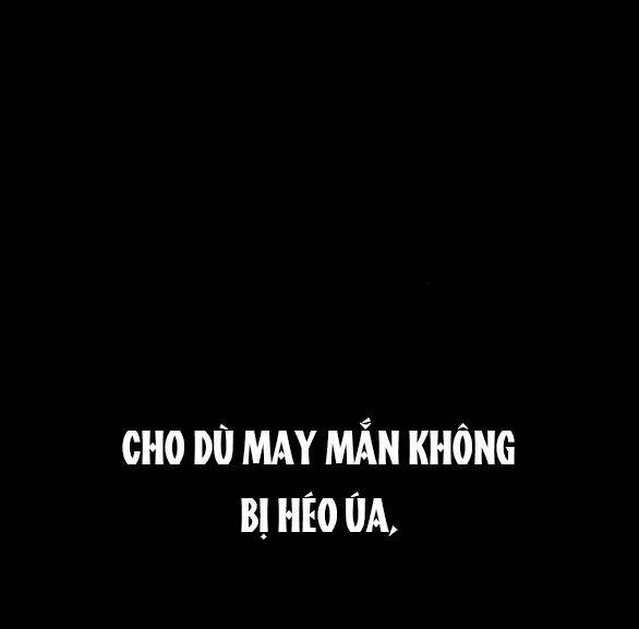 Tôi Thuần Hóa Chó Điên Của Chồng Cũ Chap 42.1 - Next Chap 43.1