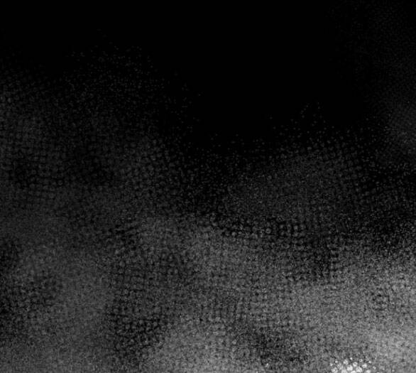 Tôi Thuần Hóa Chó Điên Của Chồng Cũ Chap 44.2 - Next Chap 45.2