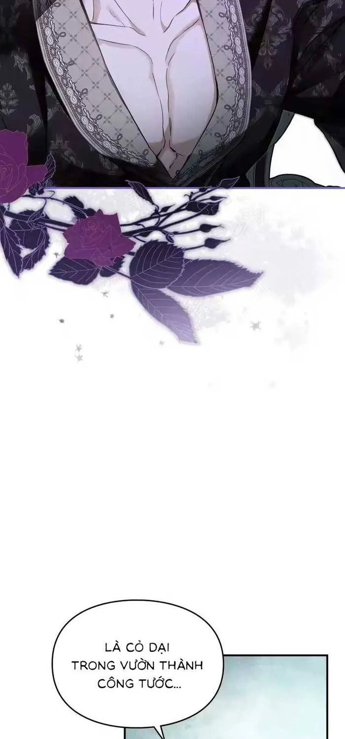 Tôi Trở Thành Hôn Thê Của Đại Công Tước Mù Chap 16 - Next Chap 17