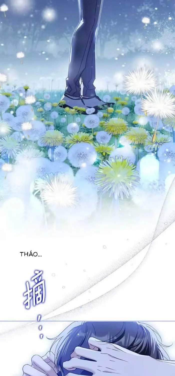 Tôi Trở Thành Hôn Thê Của Đại Công Tước Mù Chap 17 - Next Chap 18