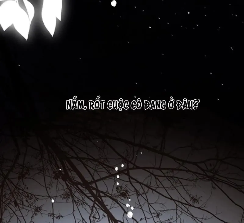 Tôi Trùng Sinh Trở Thành Tiểu Ác Long Của Vương Tử Điện Hạ Chap 116 - Next Chap 117