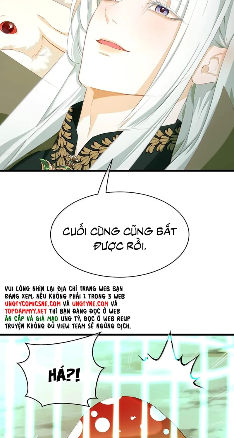 Tôi Trùng Sinh Trở Thành Tiểu Ác Long Của Vương Tử Điện Hạ Chap 117 - Next Chap 118
