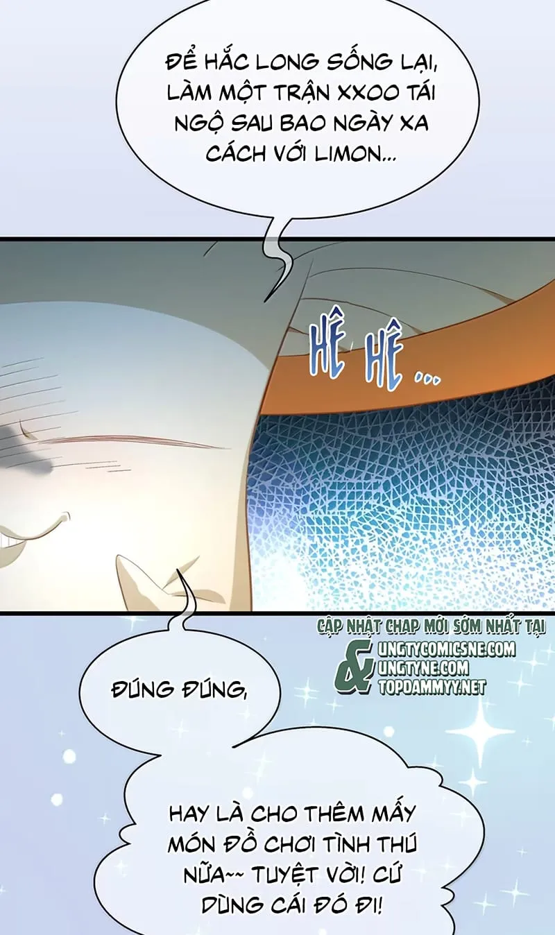 Tôi Trùng Sinh Trở Thành Tiểu Ác Long Của Vương Tử Điện Hạ Chap 117 - Next Chap 118