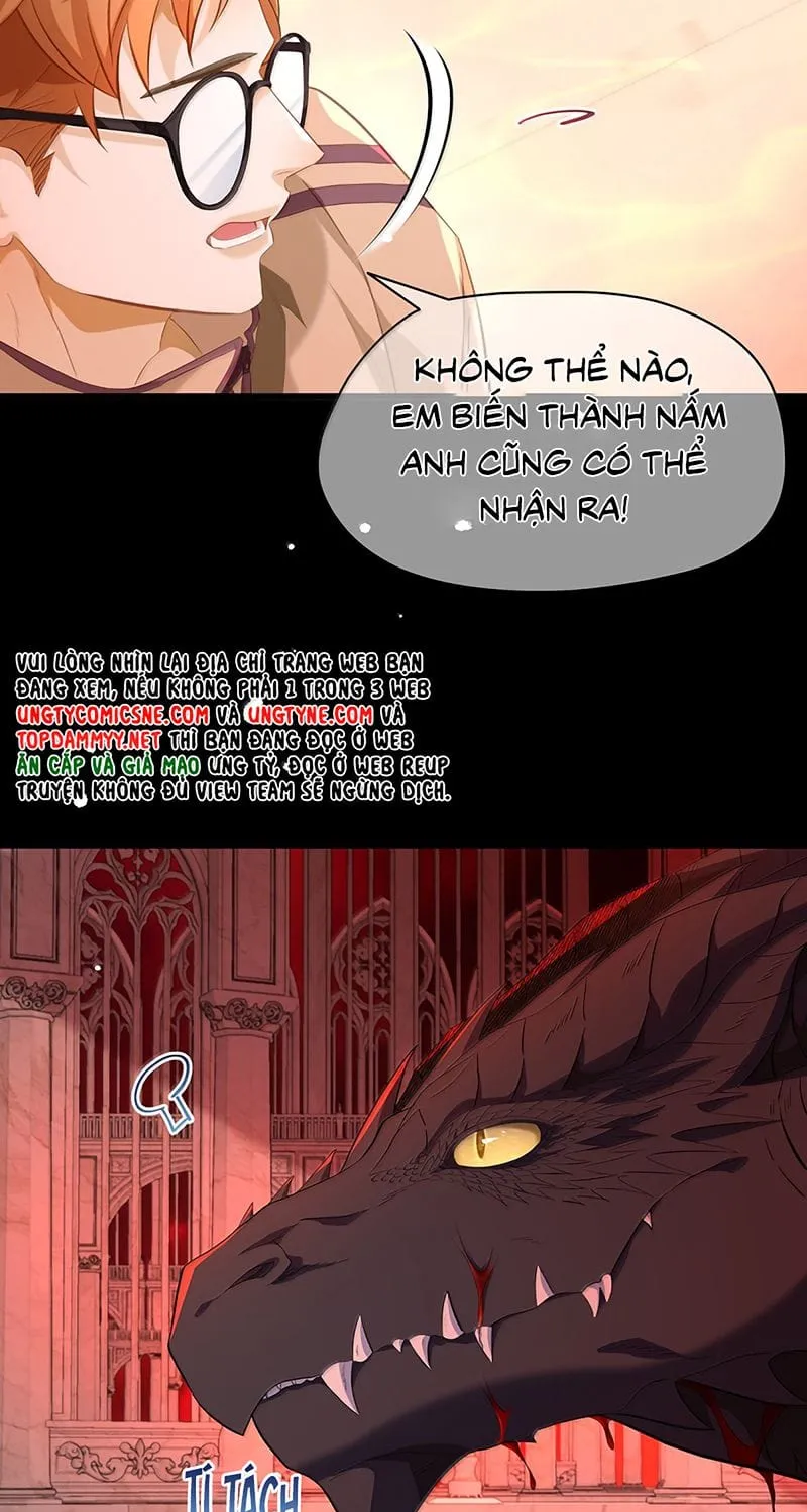 Tôi Trùng Sinh Trở Thành Tiểu Ác Long Của Vương Tử Điện Hạ Chap 121 - Next Chap 122