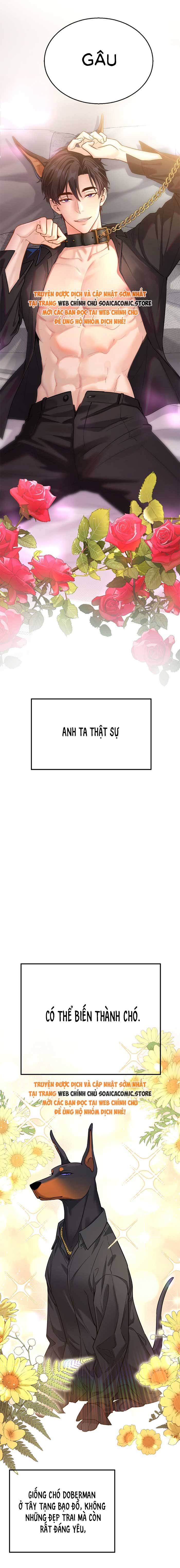 Tổng Tài Chó Chap 0 - Next Chap 1