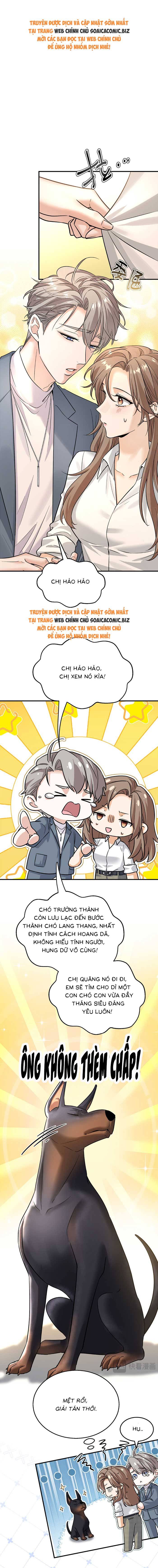 Tổng Tài Chó Chap 10 - Next Chap 11
