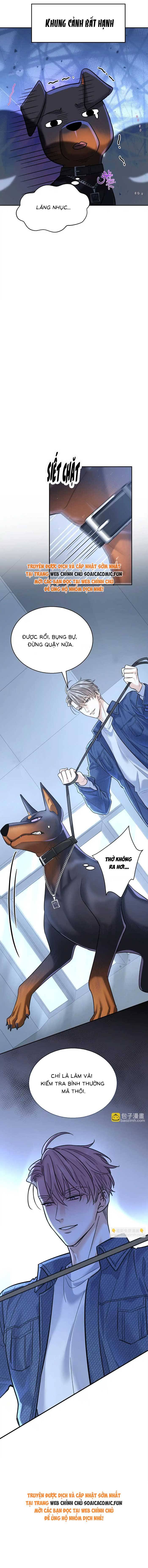 Tổng Tài Chó Chap 13 - Next Chap 14