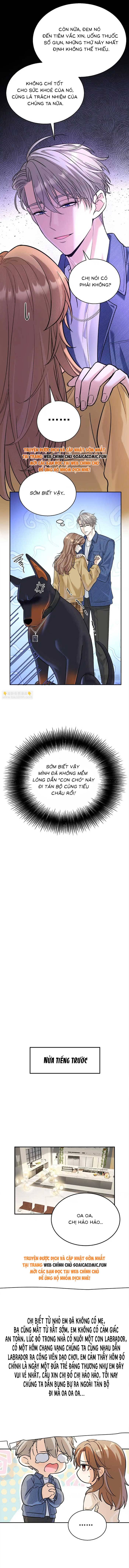 Tổng Tài Chó Chap 13 - Next Chap 14