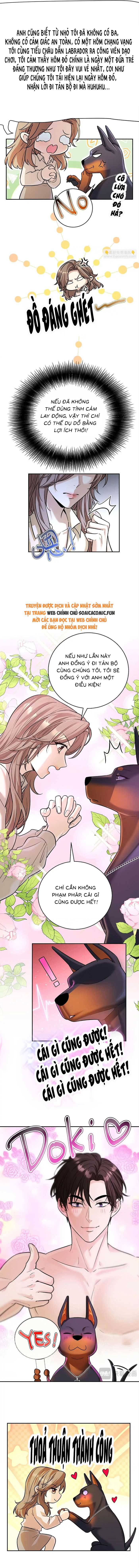 Tổng Tài Chó Chap 13 - Next Chap 14