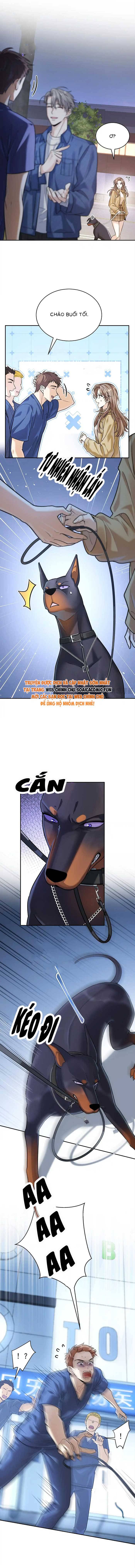 Tổng Tài Chó Chap 13 - Next Chap 14