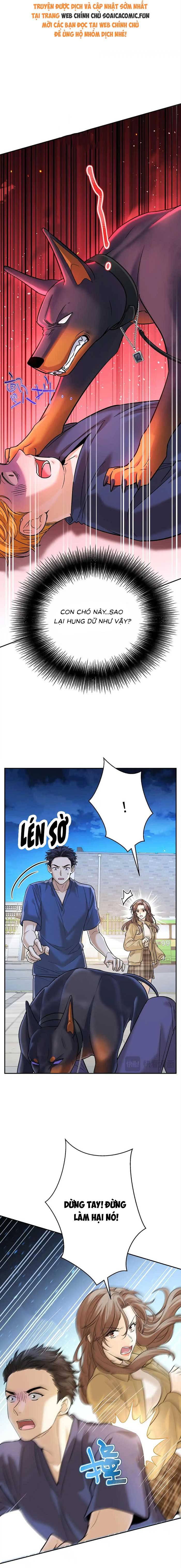 Tổng Tài Chó Chap 13 - Next Chap 14