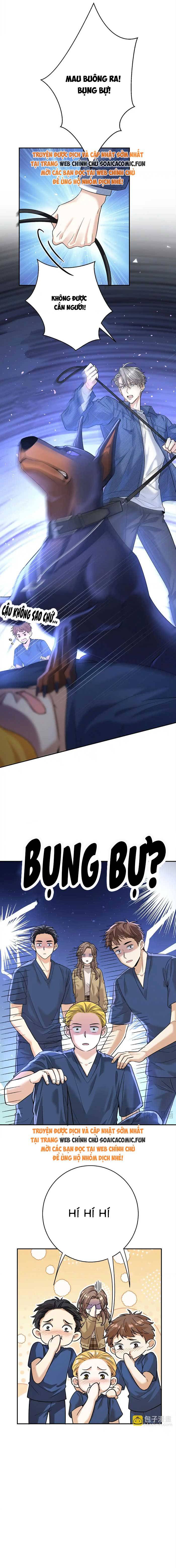 Tổng Tài Chó Chap 13 - Next Chap 14