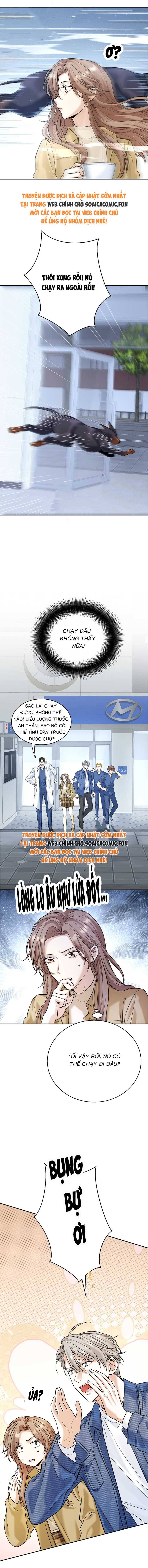 Tổng Tài Chó Chap 14 - Next Chap 15
