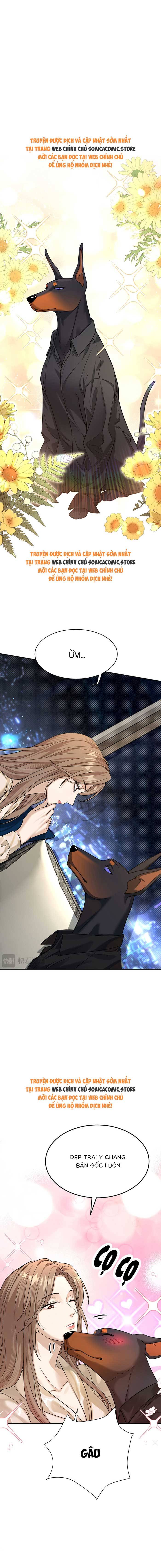 Tổng Tài Chó Chap 4 - Next Chap 5