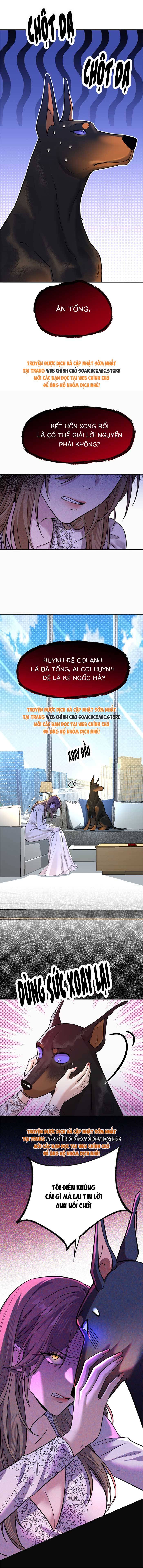 Tổng Tài Chó Chap 4 - Next Chap 5