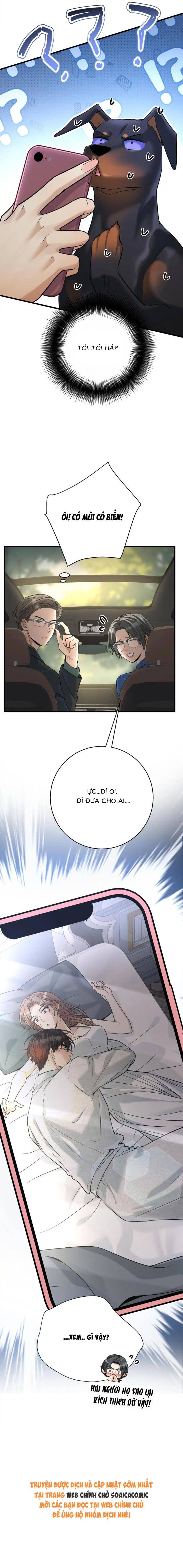 Tổng Tài Chó Chap 49 - Next Chap 50