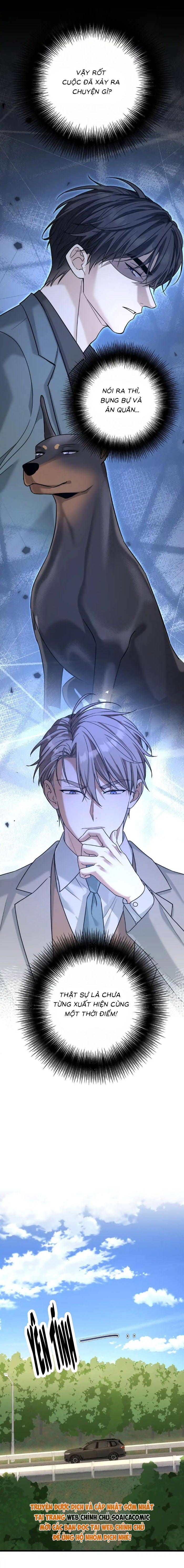 Tổng Tài Chó Chap 49 - Next Chap 50