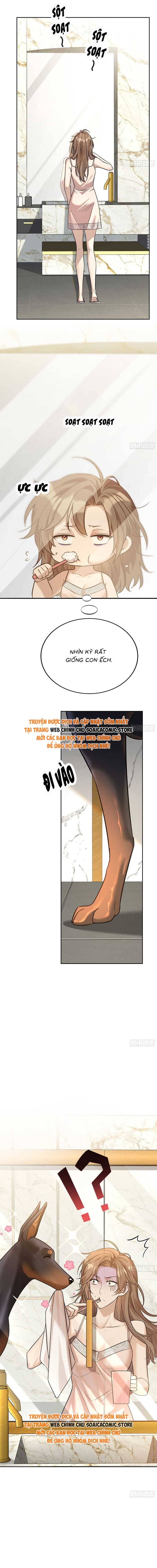 Tổng Tài Chó Chap 6 - Next Chap 7