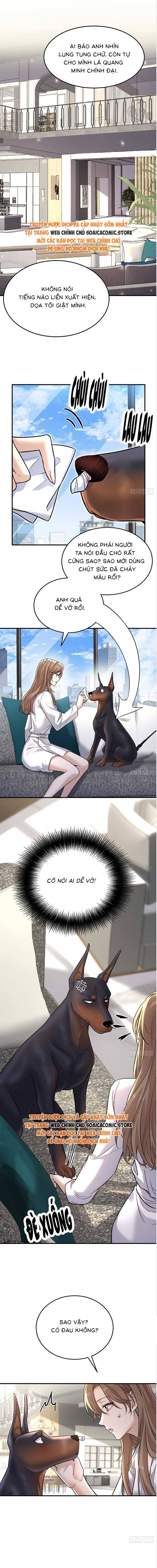 Tổng Tài Chó Chap 6 - Next Chap 7