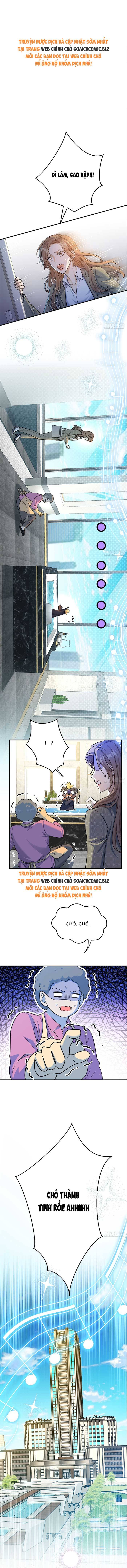 Tổng Tài Chó Chap 8 - Next Chap 9