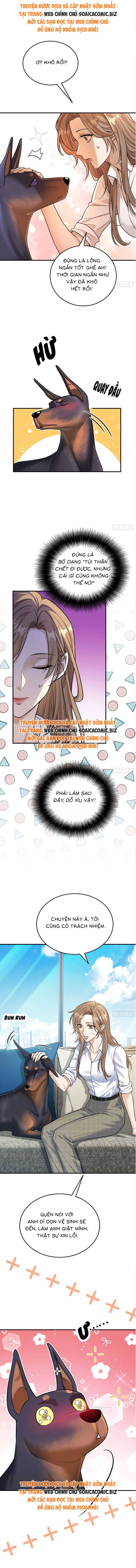 Tổng Tài Chó Chap 8 - Next Chap 9