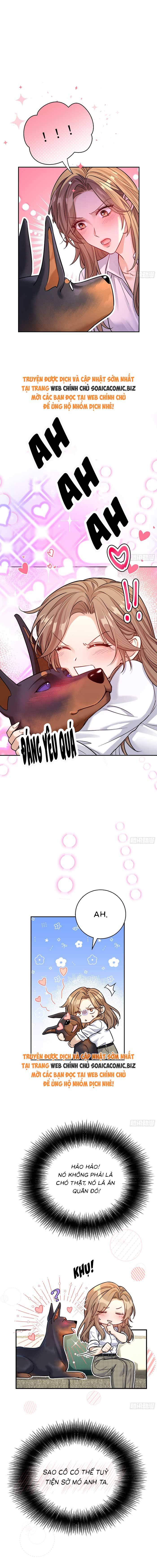 Tổng Tài Chó Chap 8 - Next Chap 9