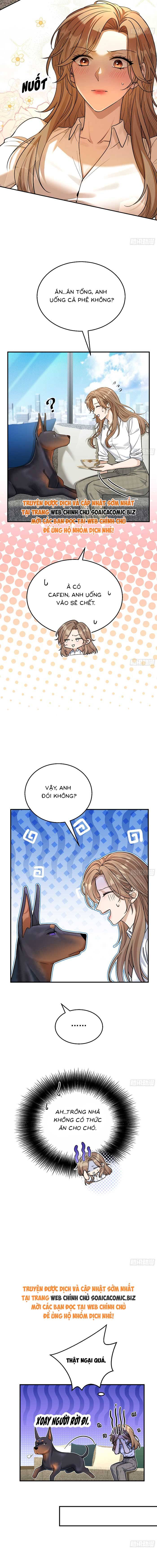 Tổng Tài Chó Chap 8 - Next Chap 9