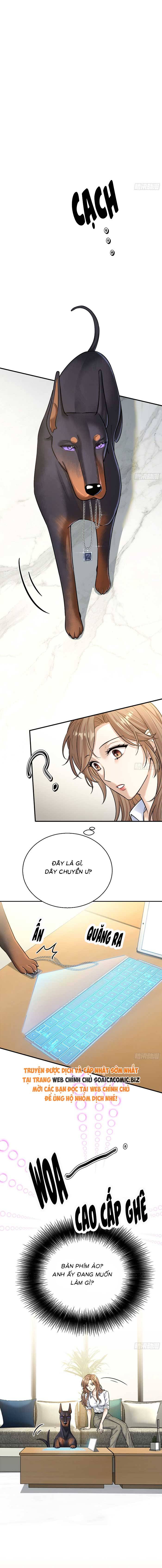 Tổng Tài Chó Chap 8 - Next Chap 9