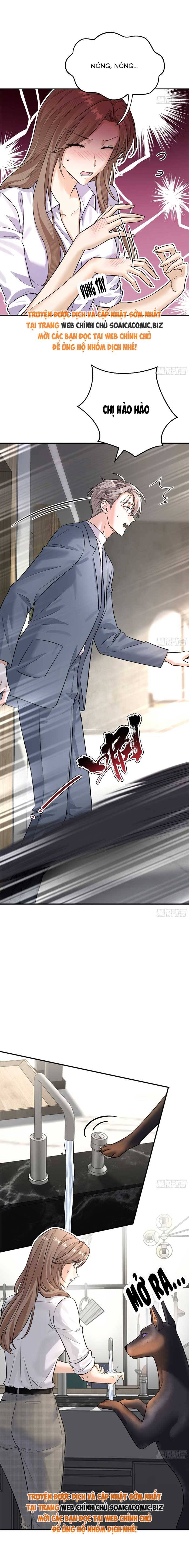 Tổng Tài Chó Chap 9 - Next Chap 10