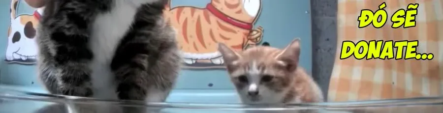 Tono Kanri O Shite Miyou Chap 87 - Next Chap 88