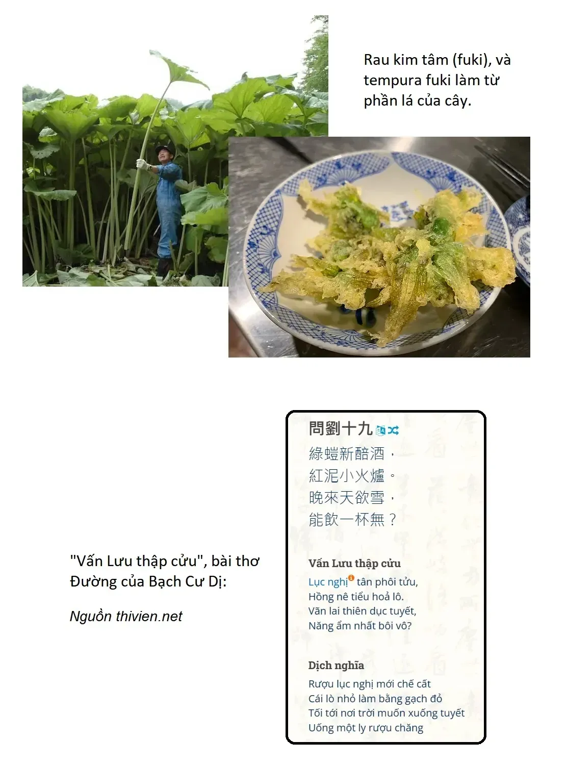 Touhou - Koishi Sành Ăn (Doujinshi) Chap 4 - Next Chap 5