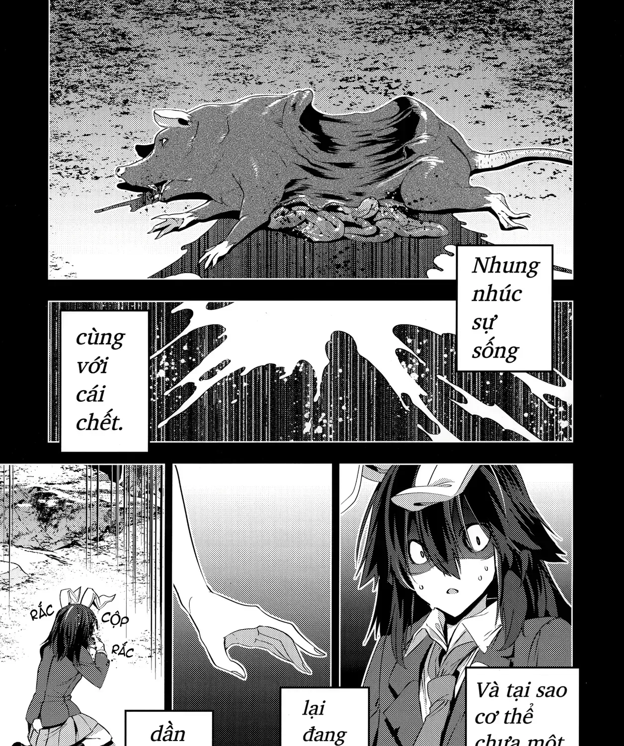 Touhou - Quạ Và Thỏ (Doujinshi) Chap 0 - Next Chap 1
