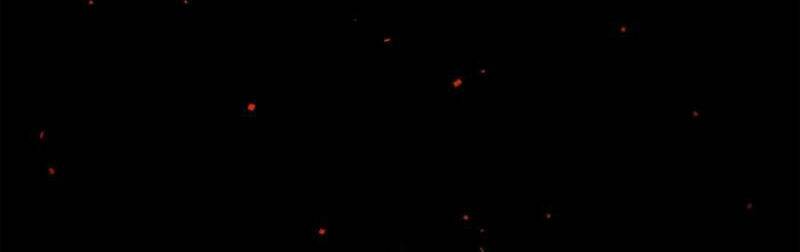 Trảm Nguyệt Chap 32 - Next Chap 33