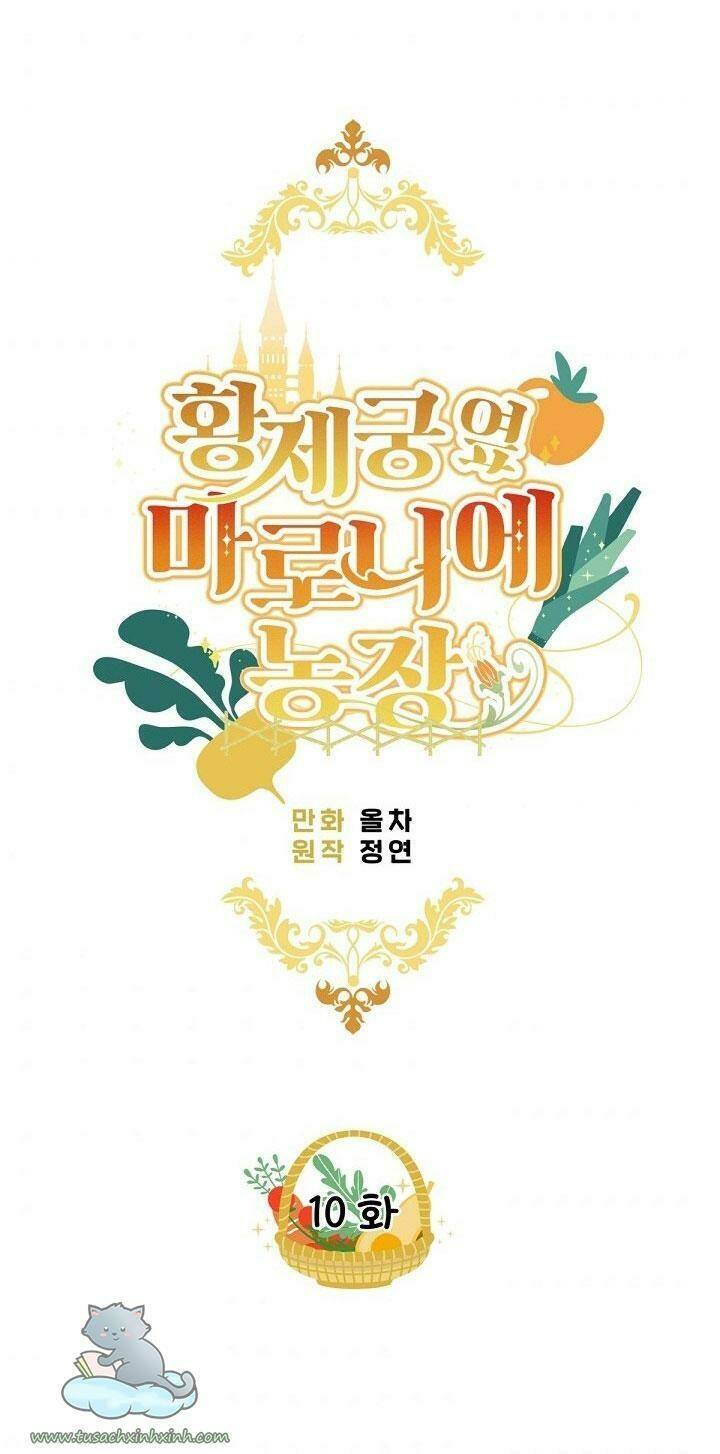 Trang Trại Hạt Dẻ Gần Cung Điện Hoàng Gia Chap 10 - Next Chap 11