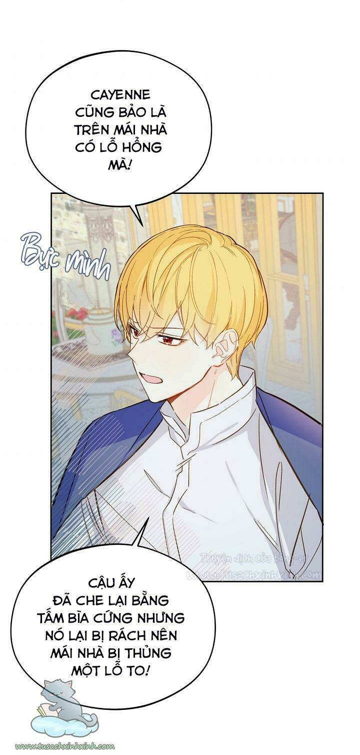 Trang Trại Hạt Dẻ Gần Cung Điện Hoàng Gia Chap 14 - Next Chap 15