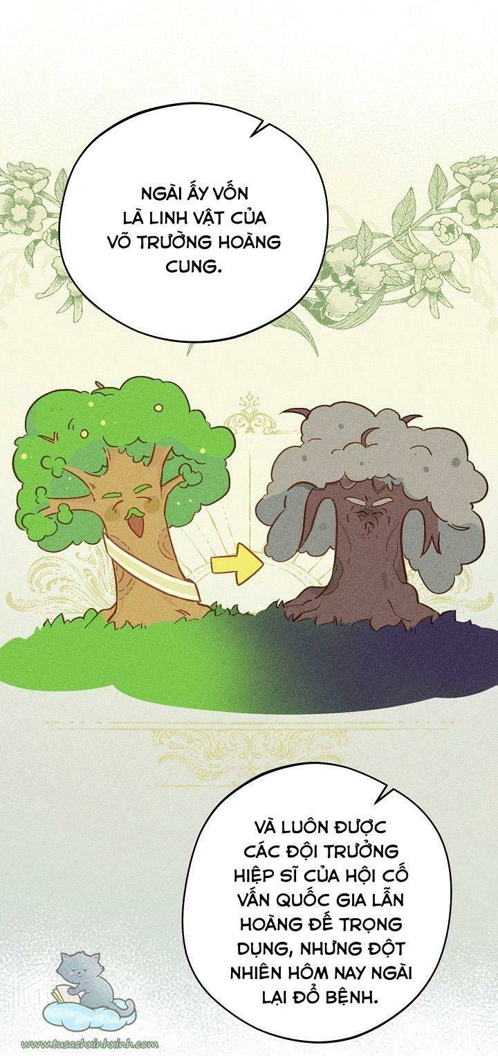 Trang Trại Hạt Dẻ Gần Cung Điện Hoàng Gia Chap 15 - Next Chap 16