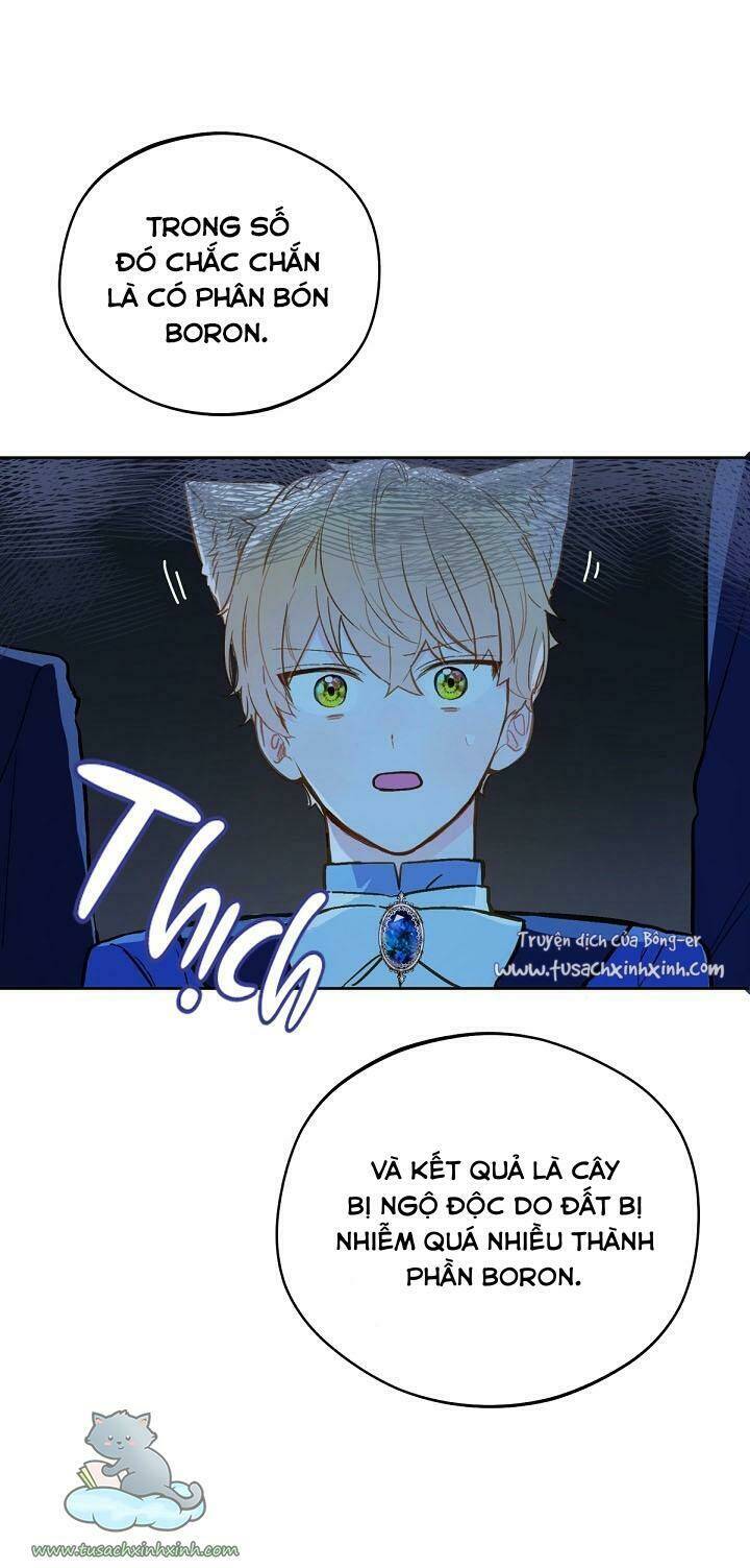 Trang Trại Hạt Dẻ Gần Cung Điện Hoàng Gia Chap 17 - Next Chap 18