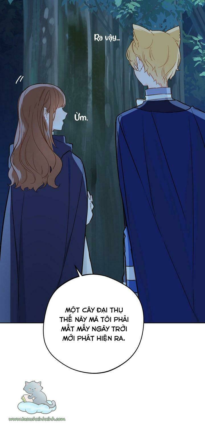 Trang Trại Hạt Dẻ Gần Cung Điện Hoàng Gia Chap 17 - Next Chap 18