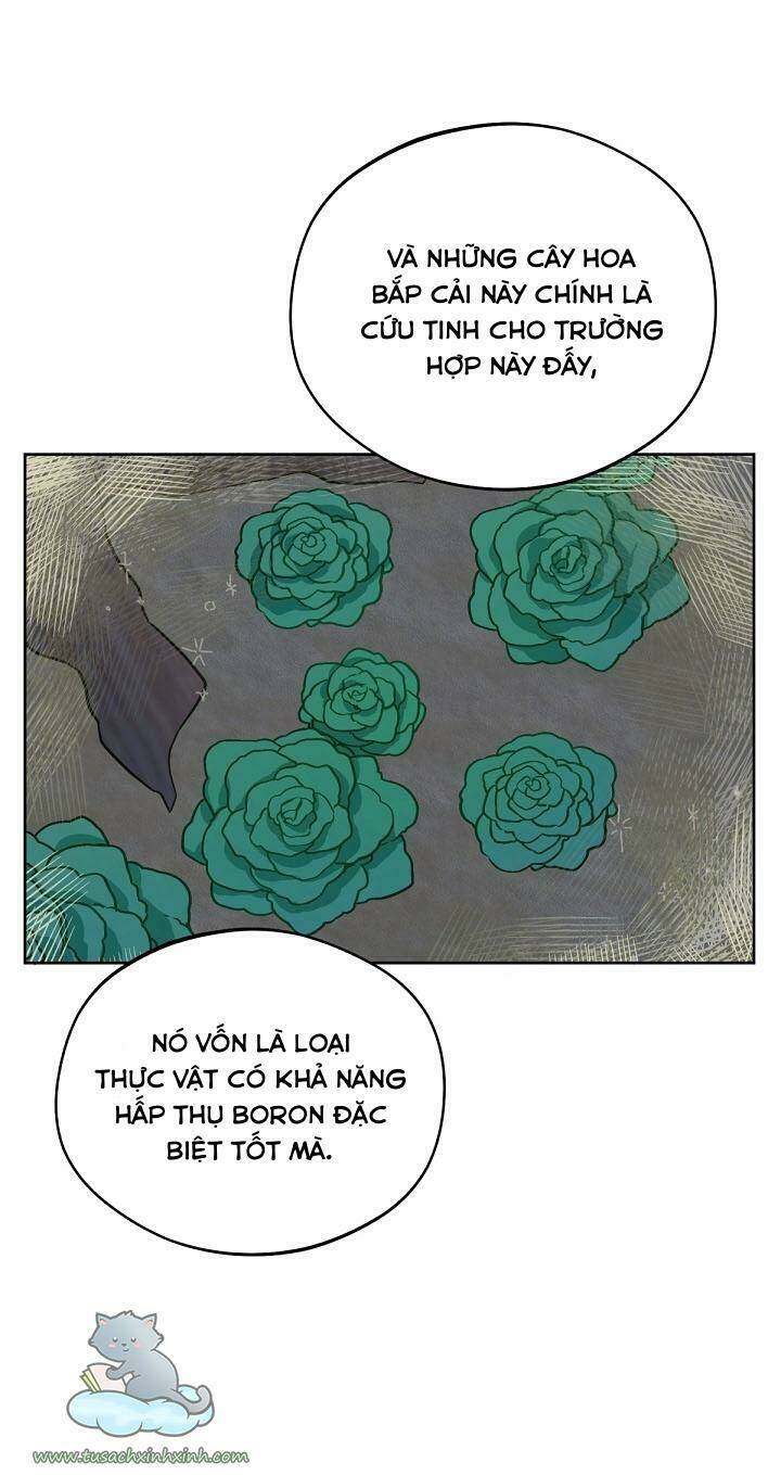 Trang Trại Hạt Dẻ Gần Cung Điện Hoàng Gia Chap 17 - Next Chap 18