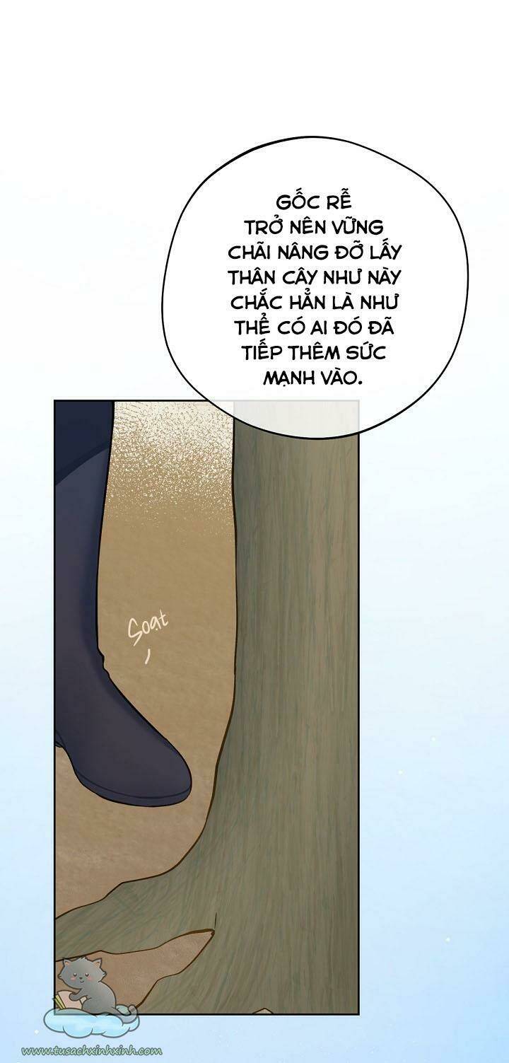 Trang Trại Hạt Dẻ Gần Cung Điện Hoàng Gia Chap 17 - Next Chap 18