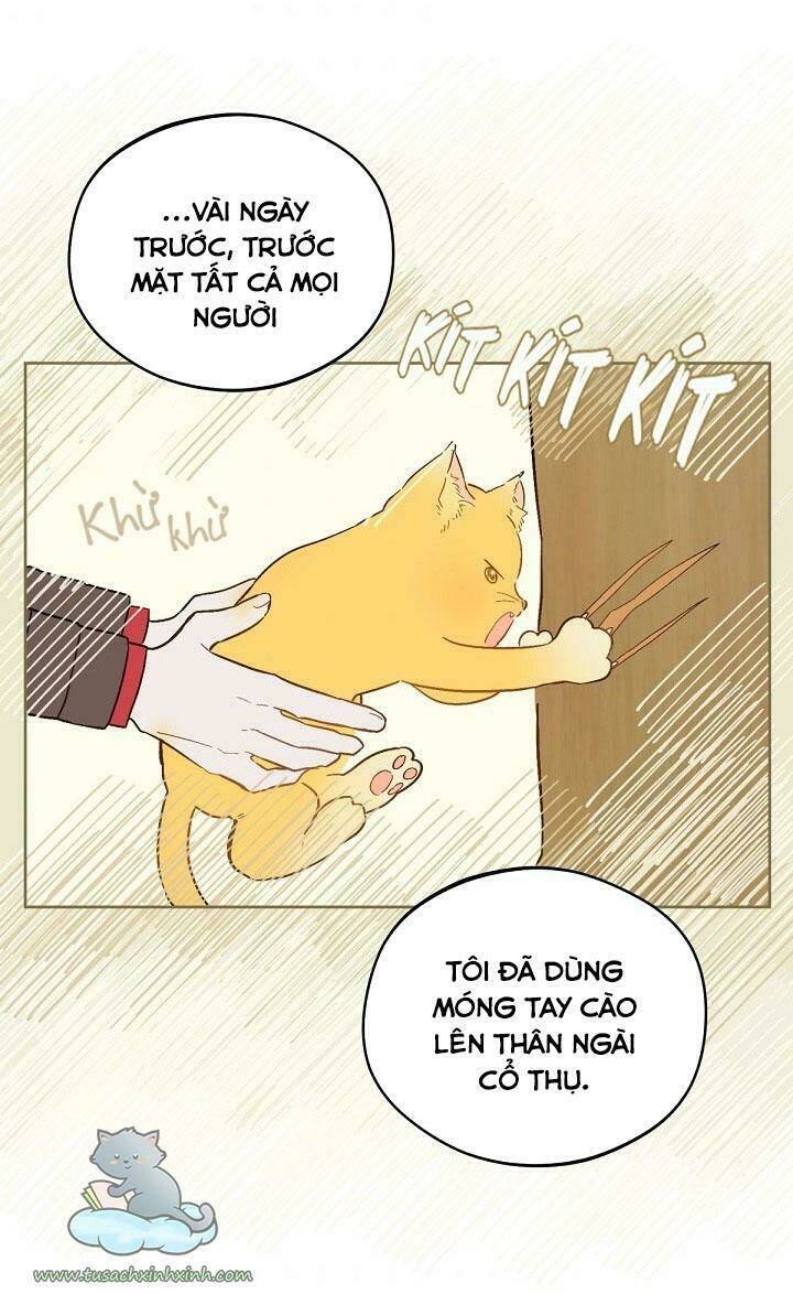 Trang Trại Hạt Dẻ Gần Cung Điện Hoàng Gia Chap 17 - Next Chap 18
