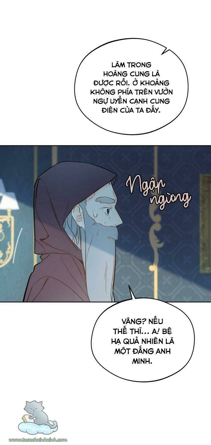 Trang Trại Hạt Dẻ Gần Cung Điện Hoàng Gia Chap 17 - Next Chap 18