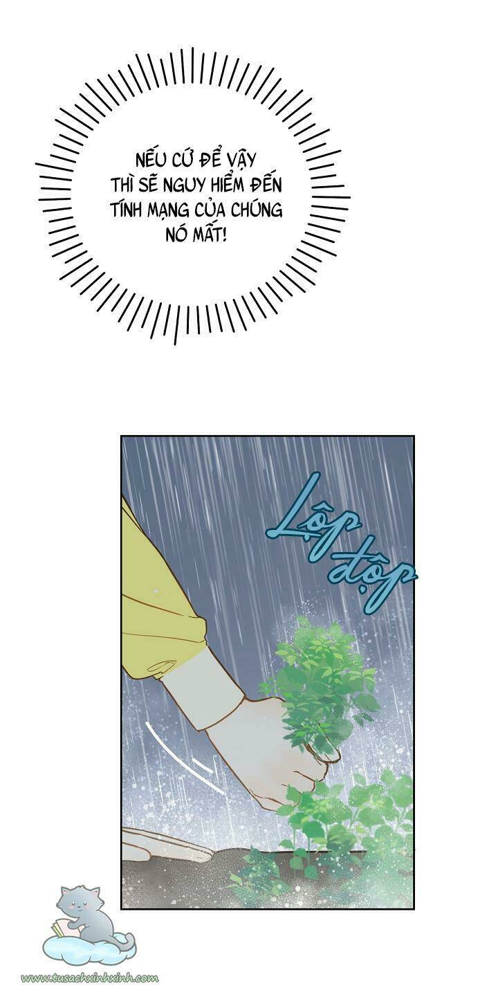 Trang Trại Hạt Dẻ Gần Cung Điện Hoàng Gia Chap 18 - Next Chap 19